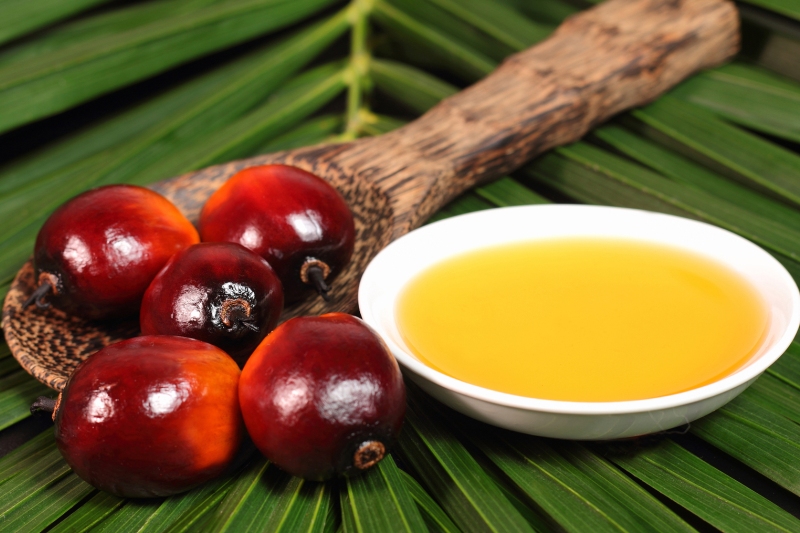 olej-palmowy.jpg